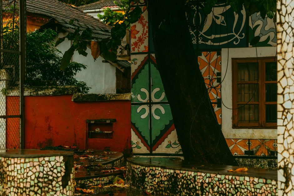 Painted house wall with a tree in the foreground